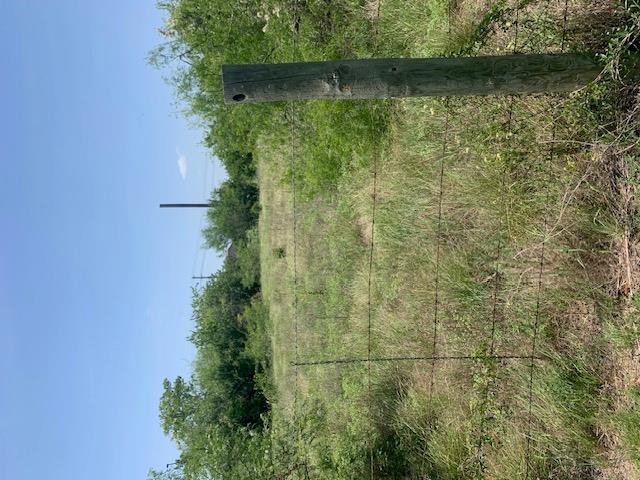 1501 Burleson ST, Kyle, TX 78640 photo 5