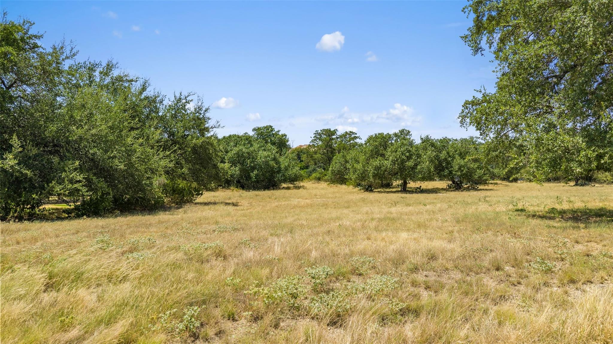 2928 Cliff Overlook, Spicewood, TX 78669 photo 5