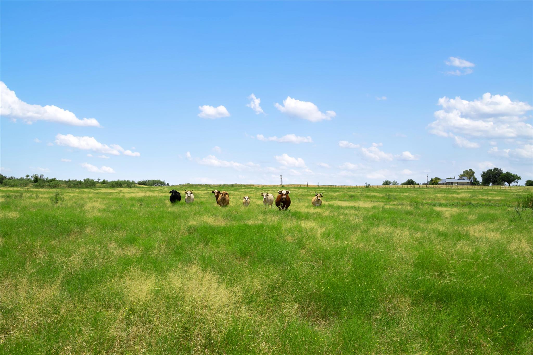 1775 County Road 305 RD, Jarrell, TX 76537 photo 3