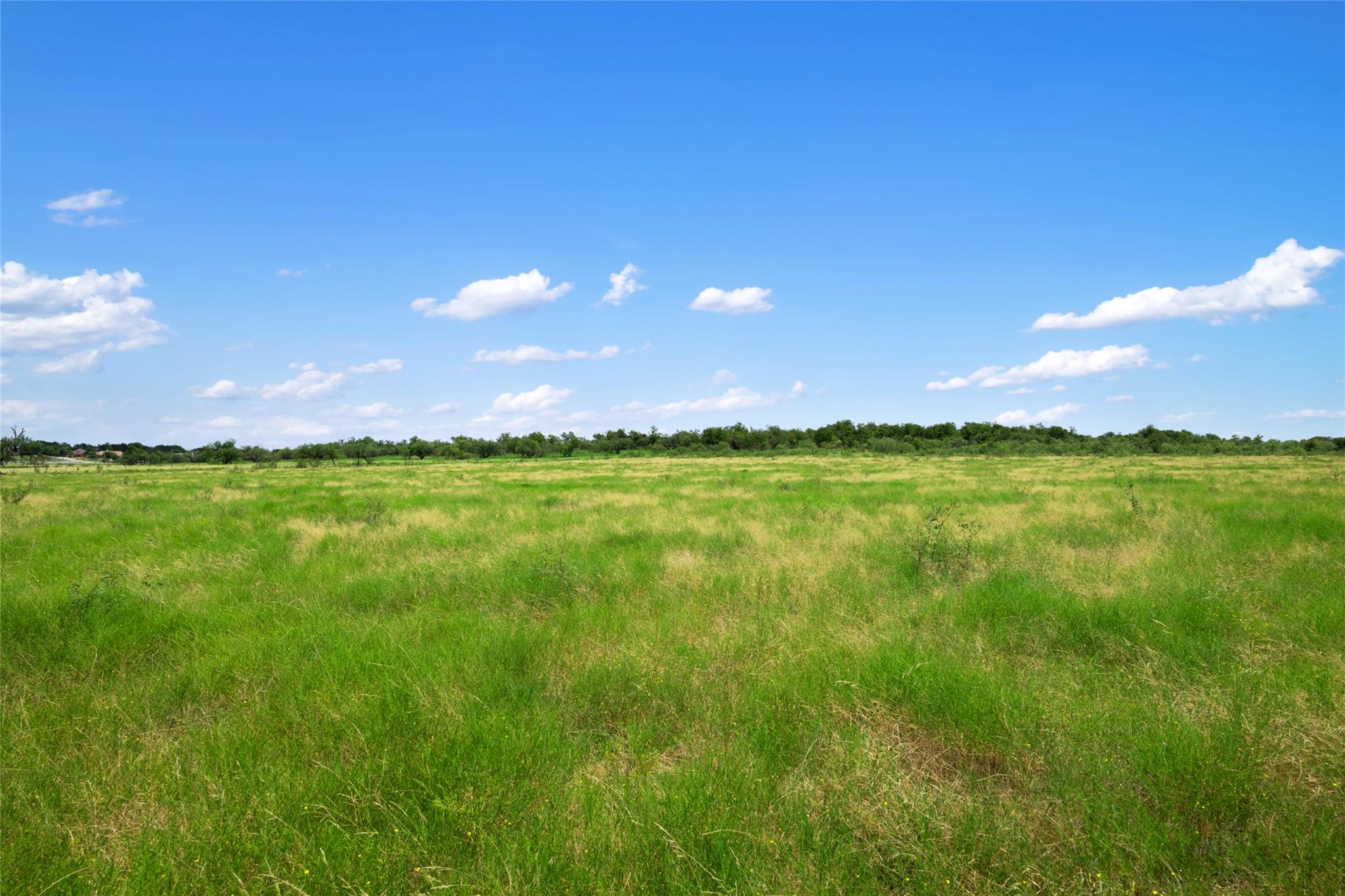 1775 County Road 305 RD, Jarrell, TX 76537 photo 4