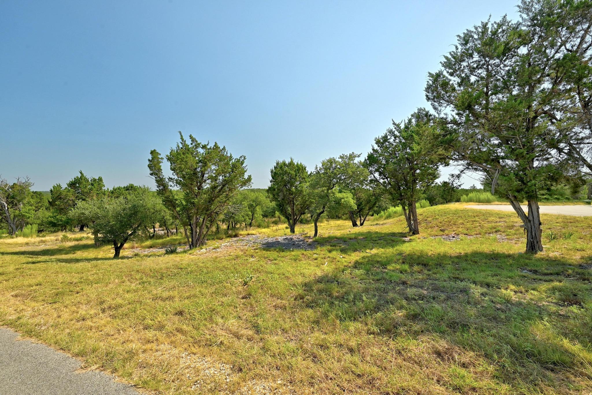 235 Campolina LN, Driftwood, TX 78619 photo 5