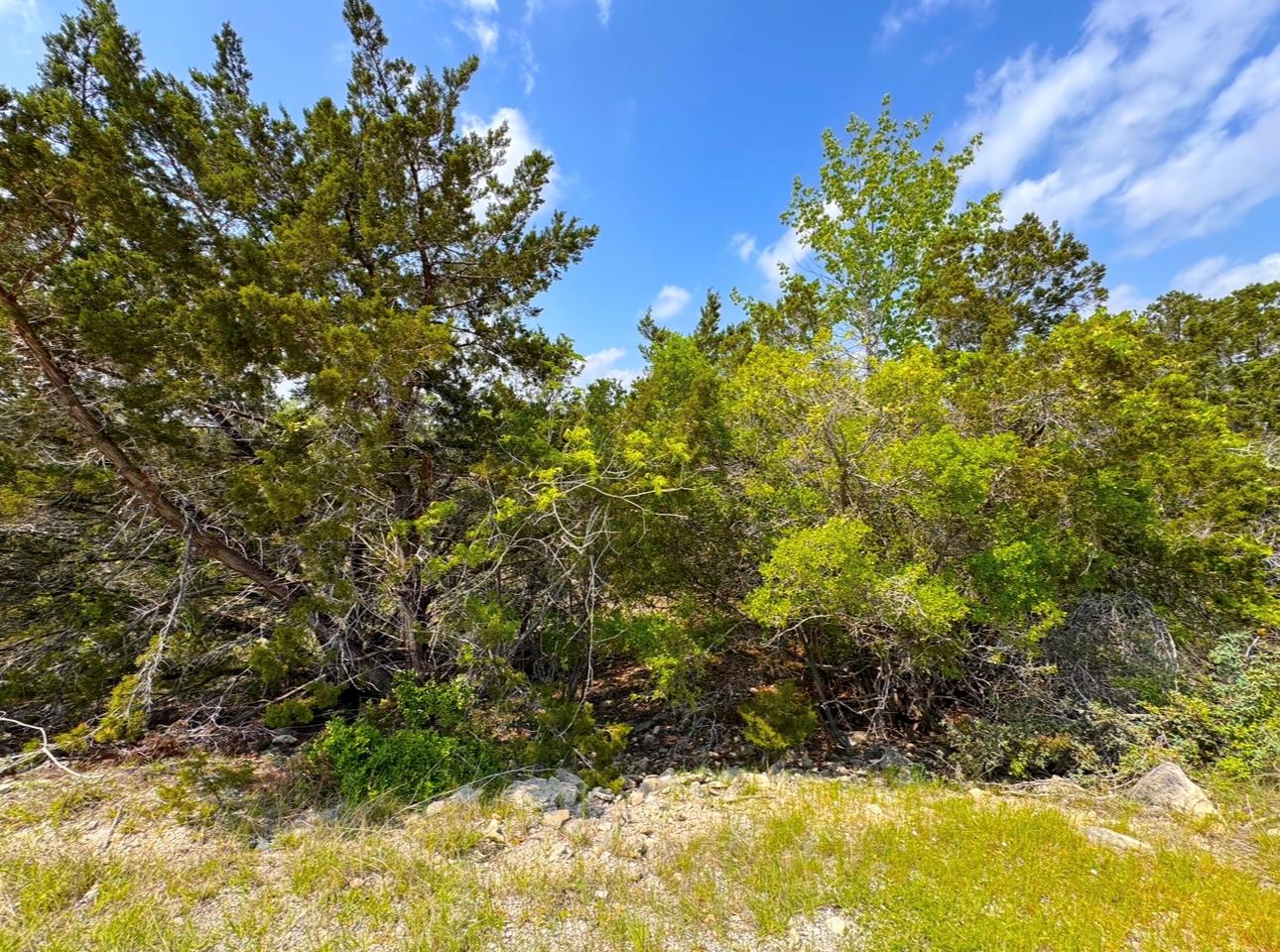 985 Oblate DR, Canyon Lake, TX 78133 photo 4