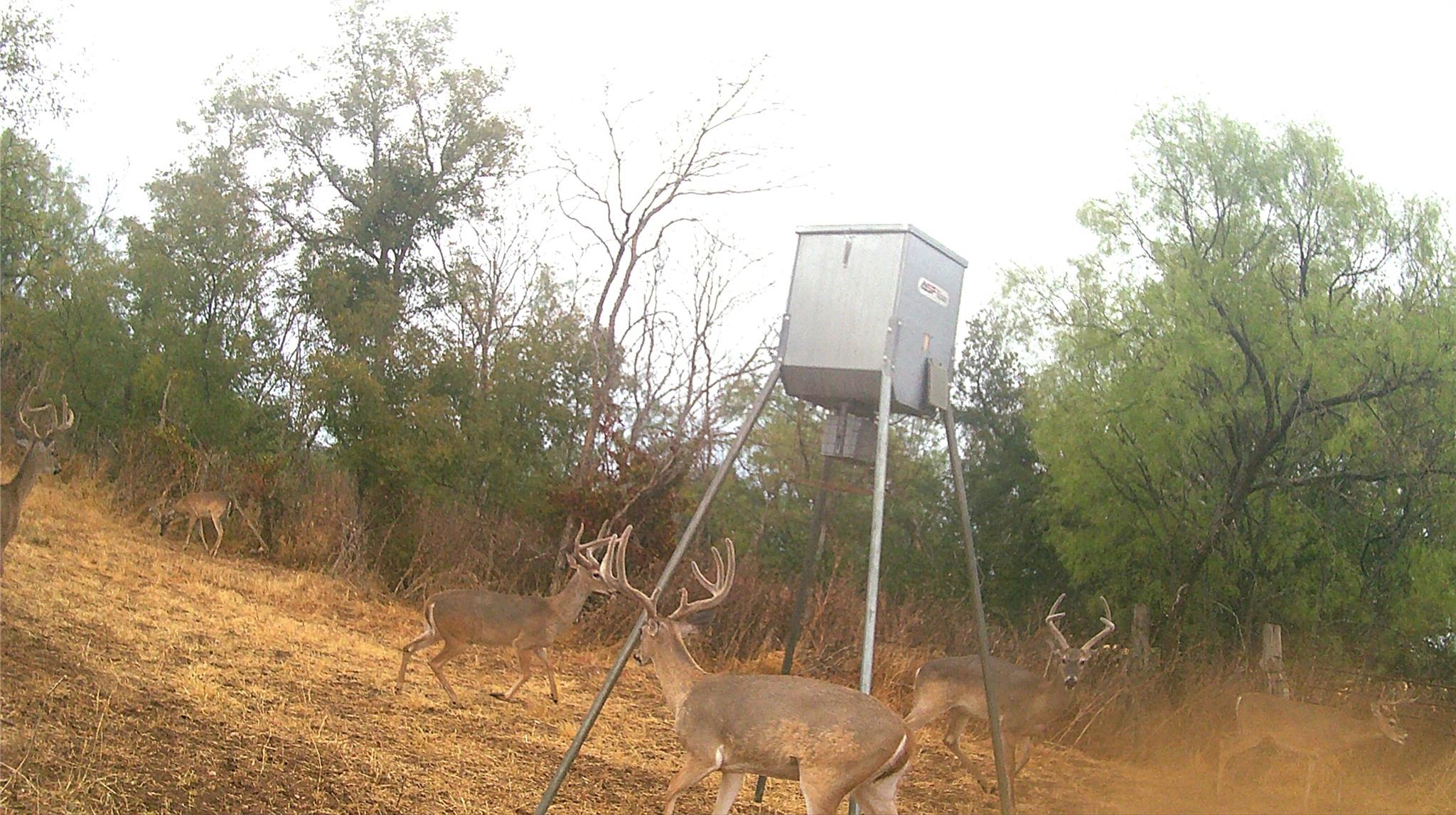 TBD FM 580 RD, Lampasas, TX 76550 photo 2