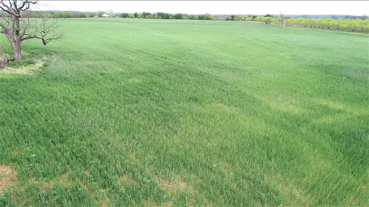 TBD FM 580 RD, Lampasas, TX 76550 photo 4