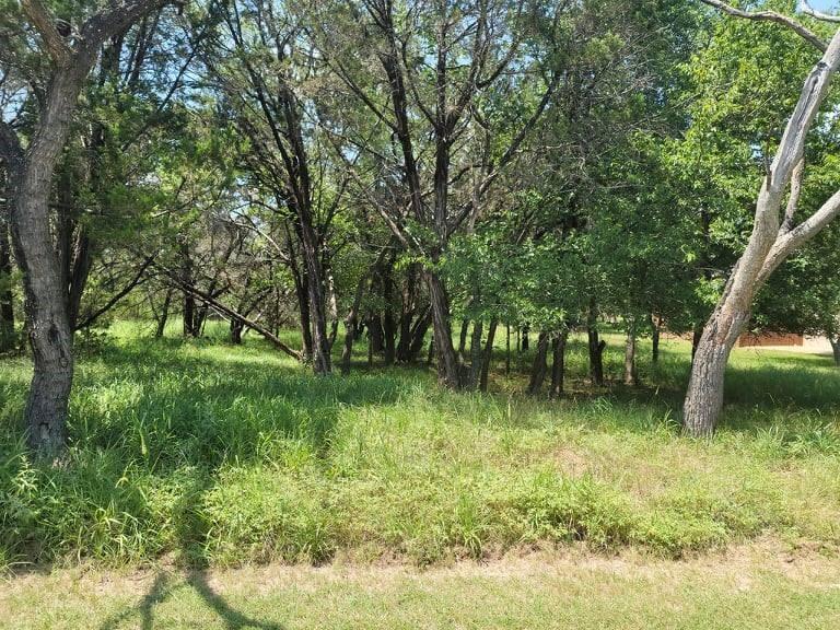 White Bluff #35