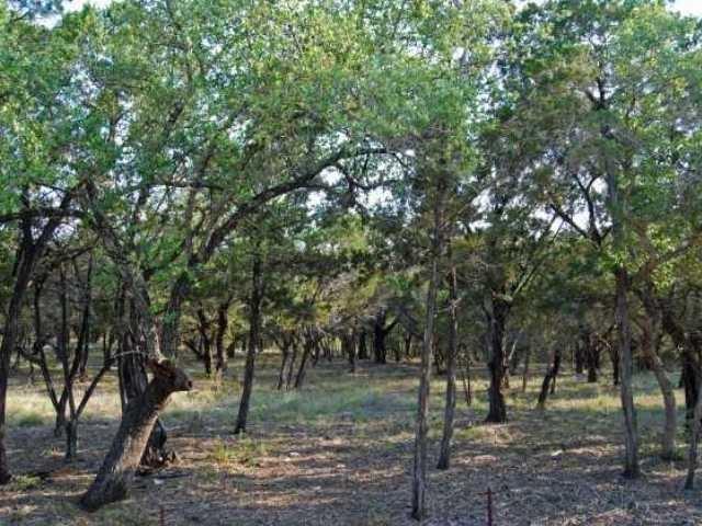 6805 Sunset Ridge WAY, Jonestown, TX 78645 photo 4