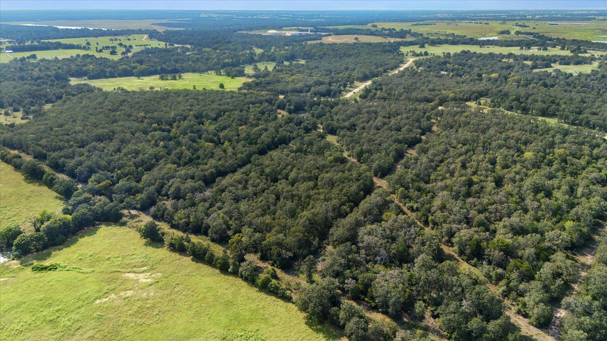 Lot 29 Walleye Creek TRL, Lexington, TX 78947 photo 3