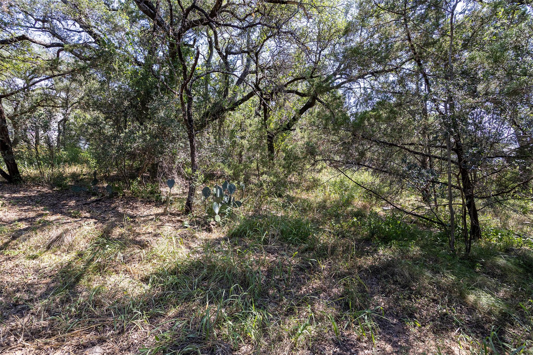 TBD Laurel LN, Spicewood, TX 78669 photo 3