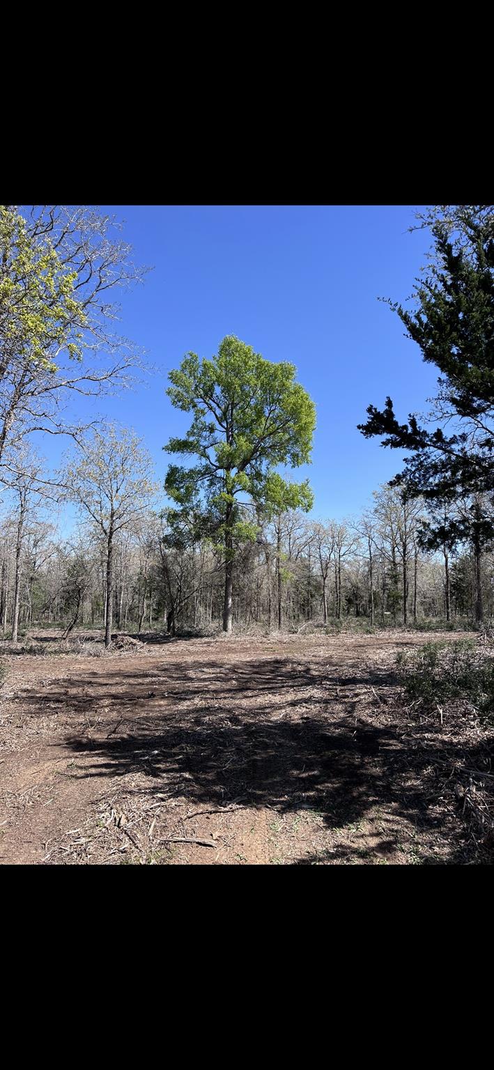 1304 Walleye Creek Trail ST, Lexington, TX 78947 photo 3