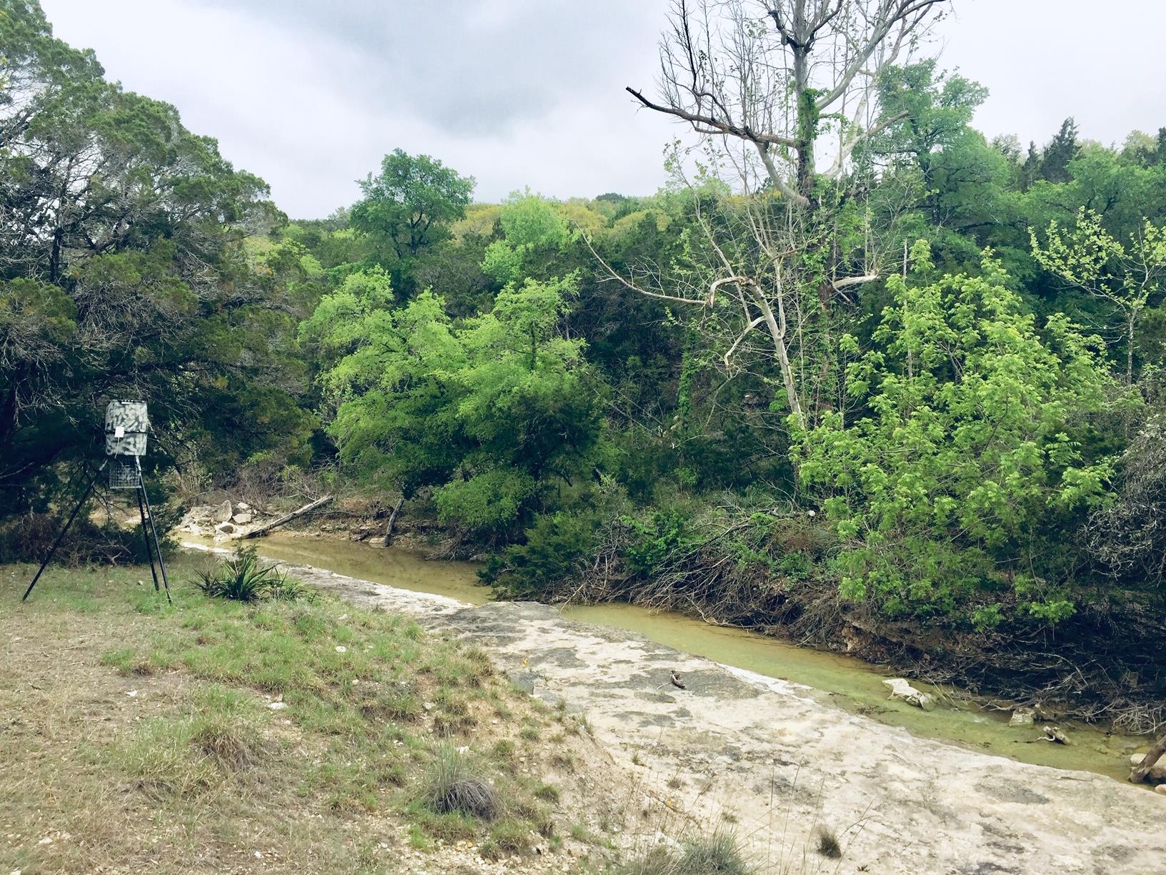 Rainbow Ranch