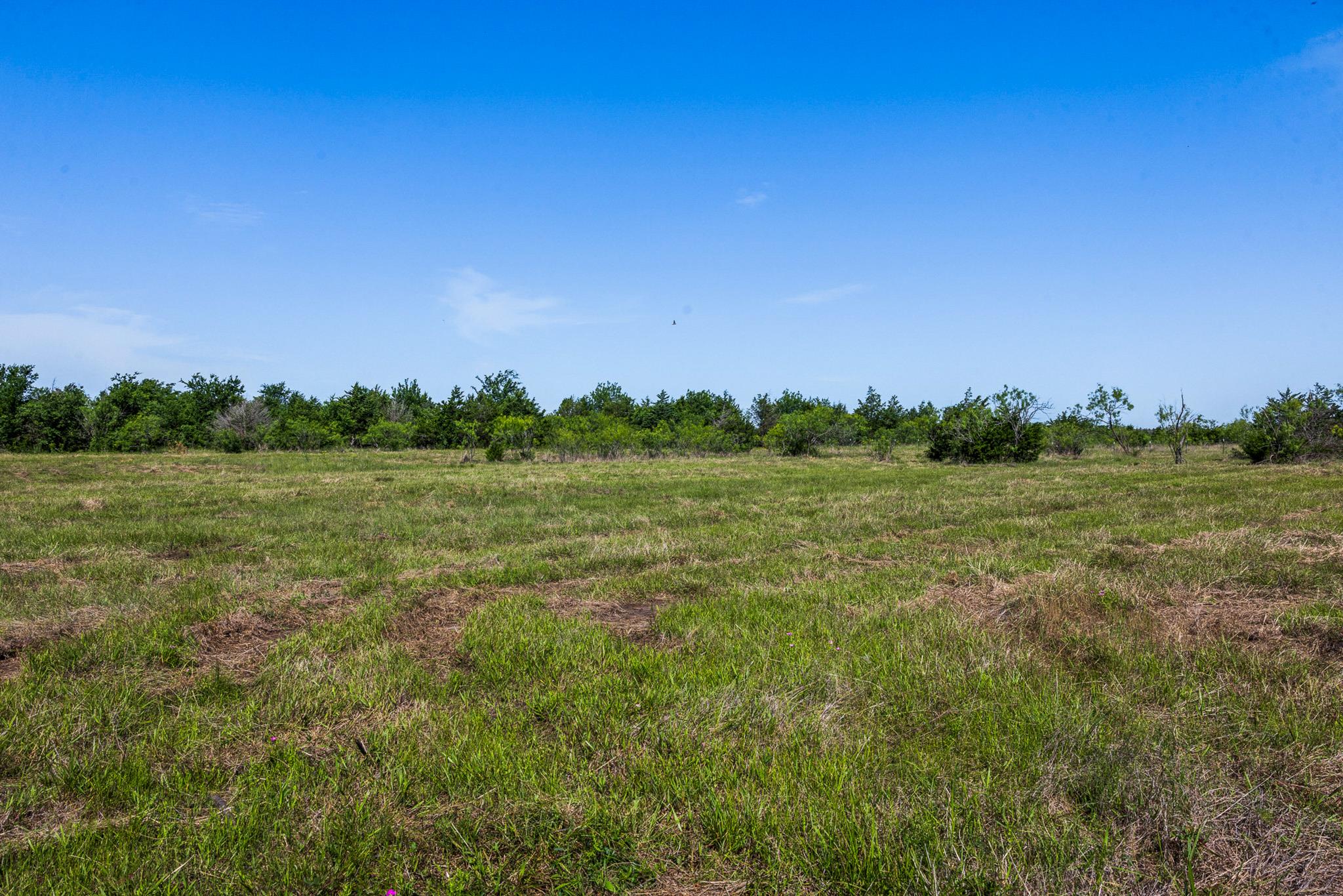 Tract 2 TBD LCR 392, Groesbeck, TX 76642 photo 2