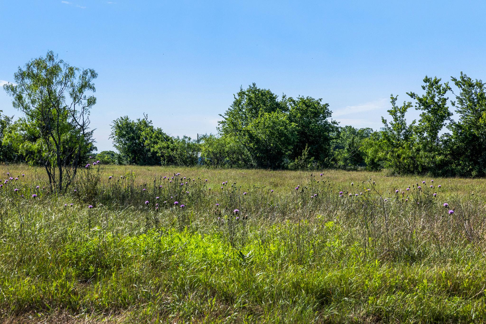 Tract 2 TBD LCR 392, Groesbeck, TX 76642 photo 3