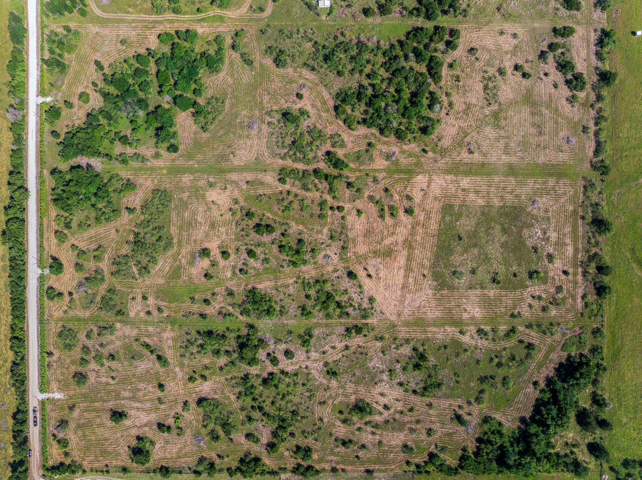 Tract 2 TBD LCR 392, Groesbeck, TX 76642 photo 5