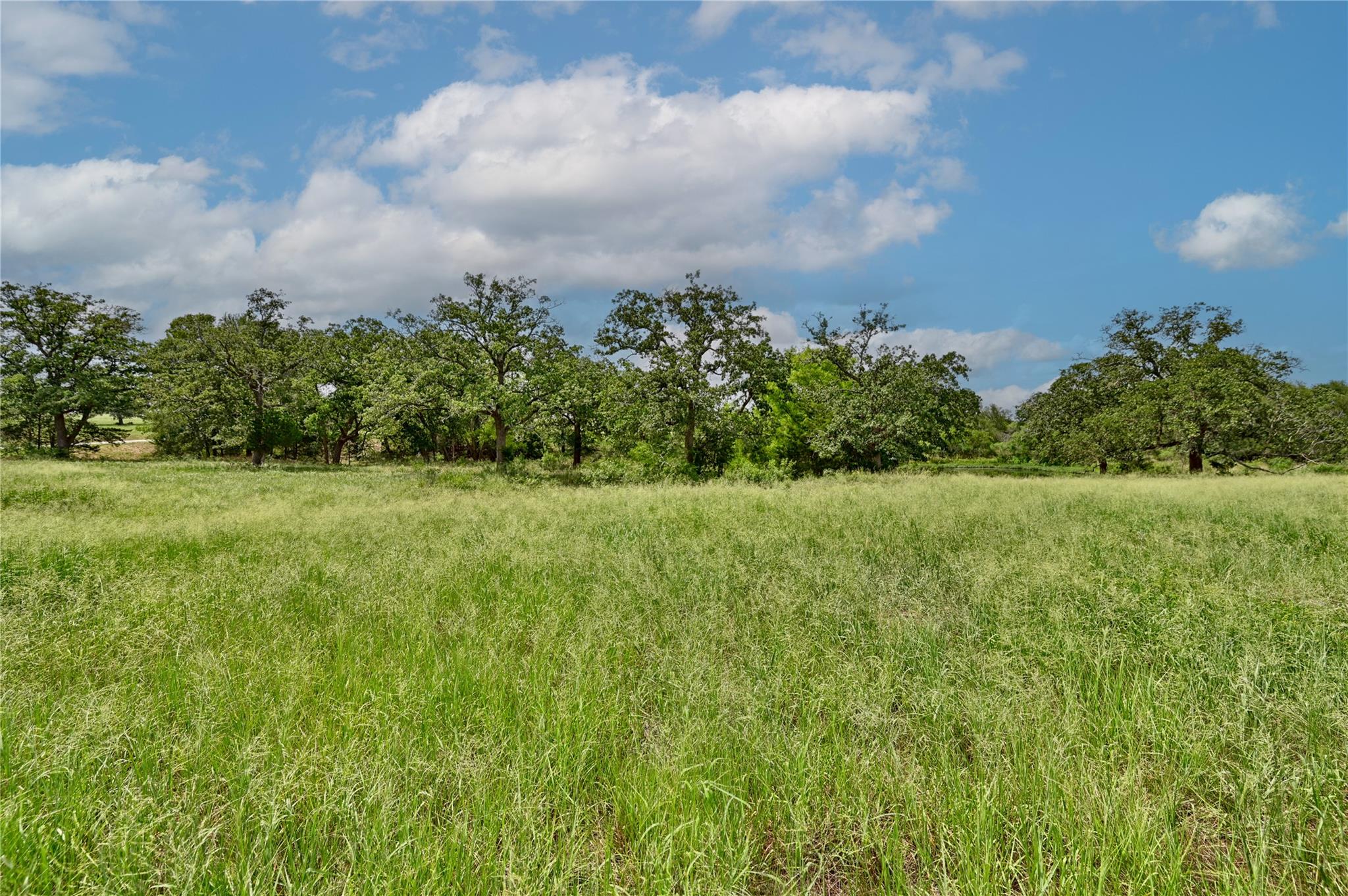 180 Sunny Day Dr, Red Rock, TX 78662 photo 3