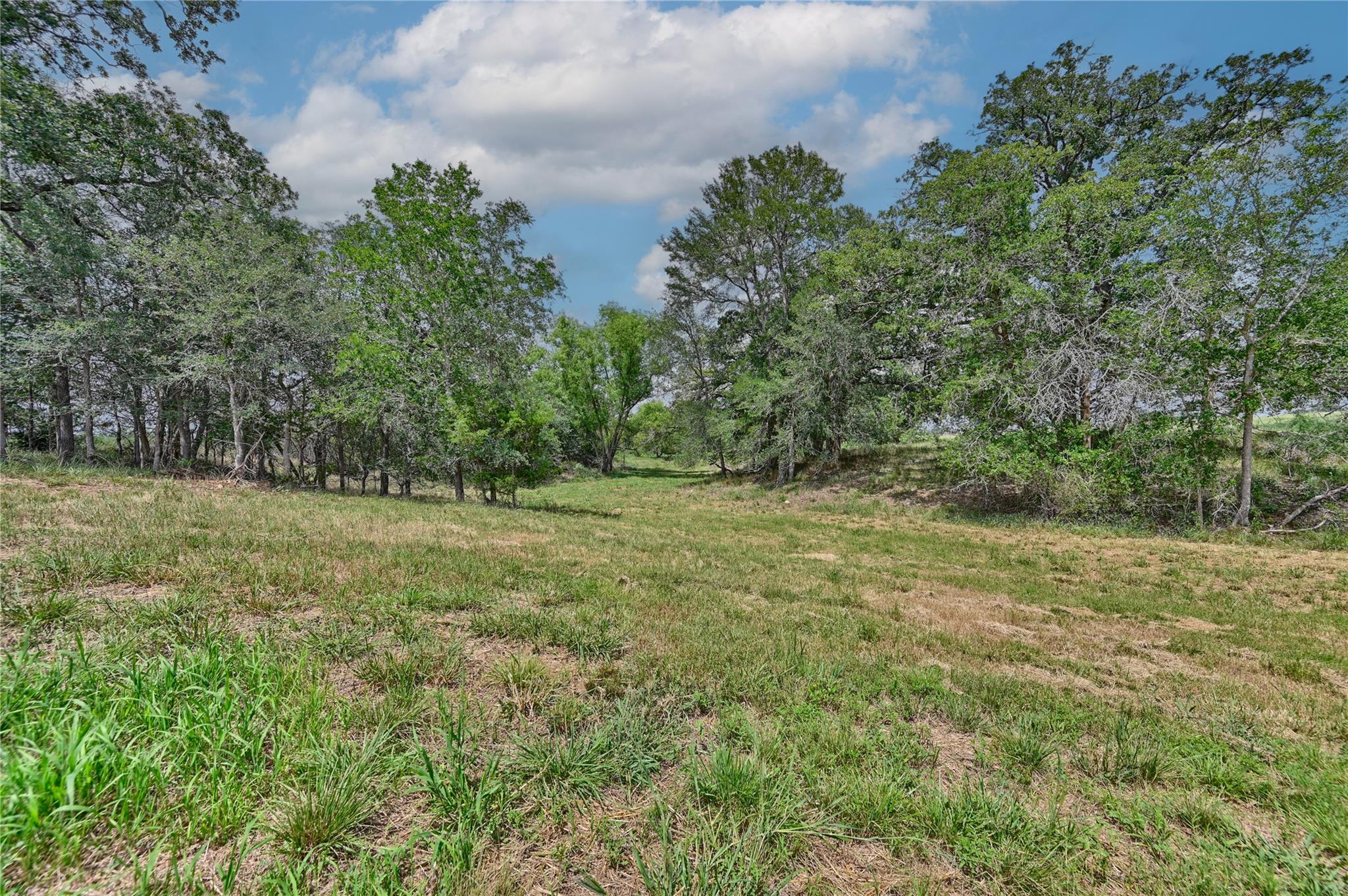 180 Sunny Day Dr, Red Rock, TX 78662 photo 4