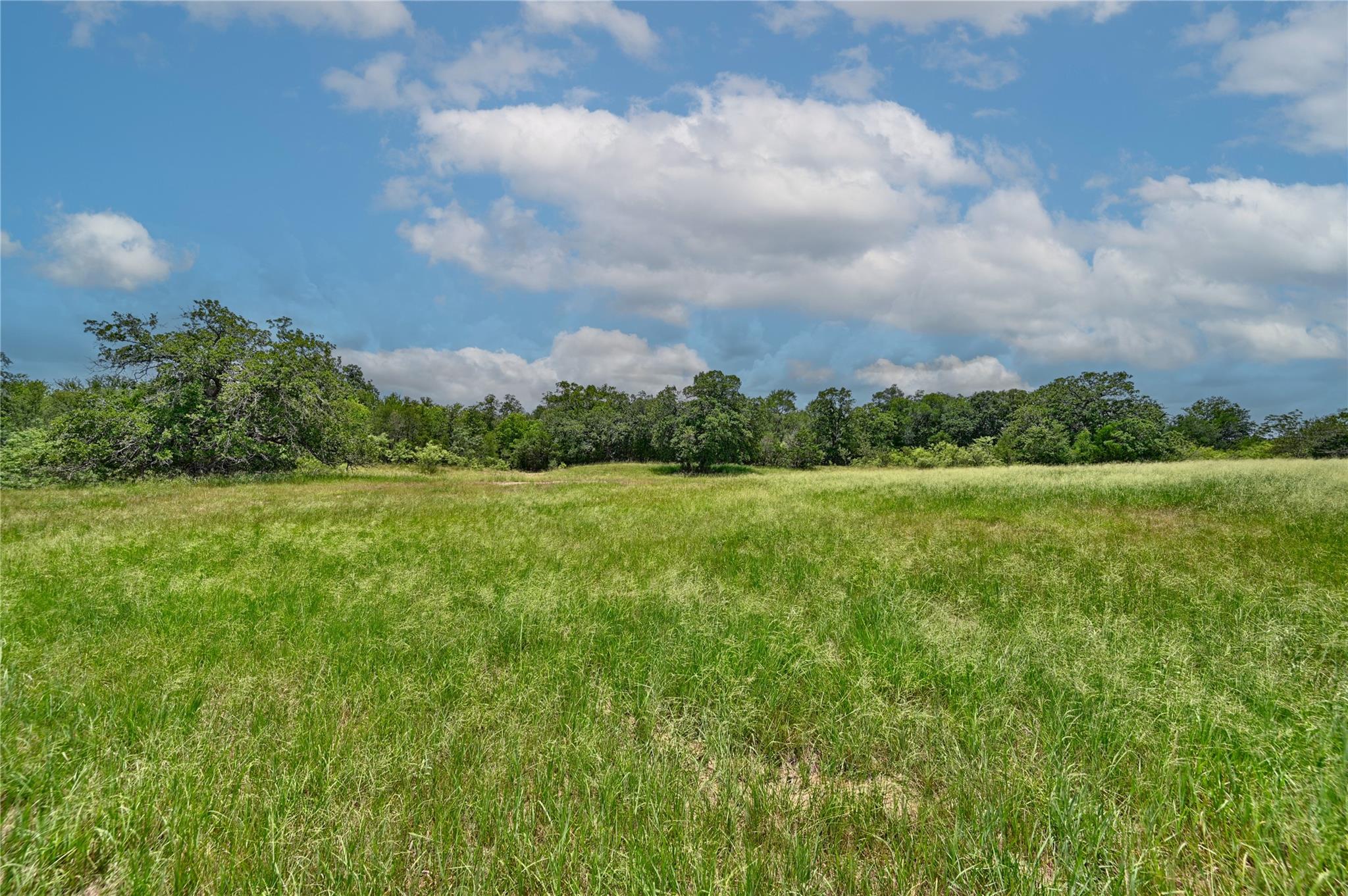 159 Starlight Path, Red Rock, TX 78662 photo 3