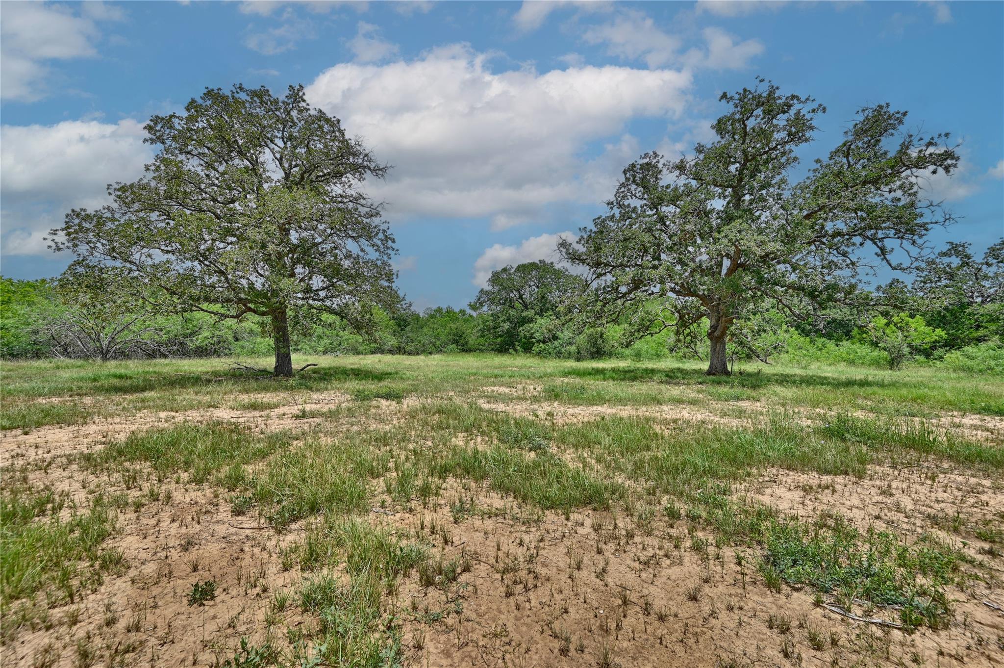 159 Starlight Path, Red Rock, TX 78662 photo 4