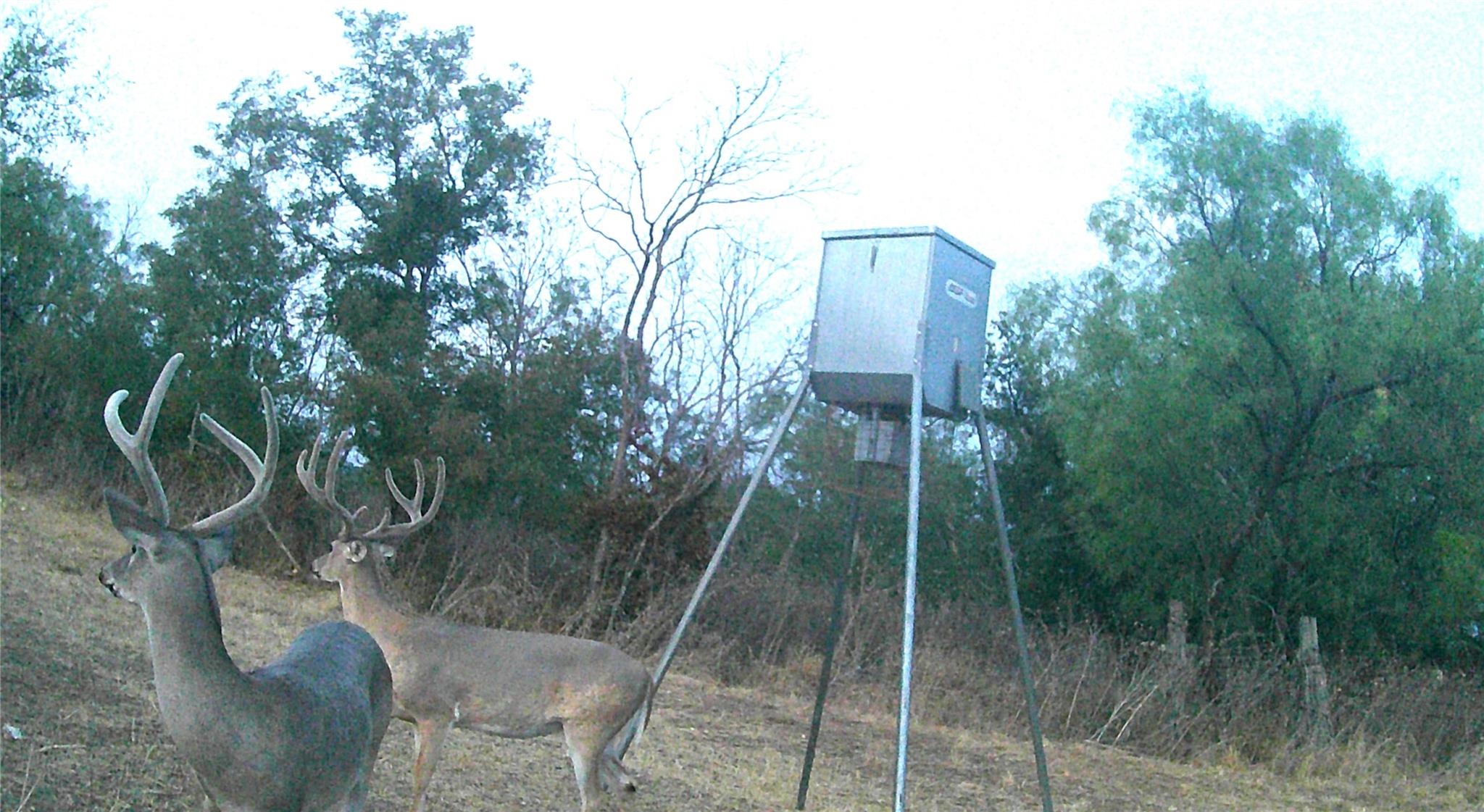 21255 FM 580, Bend, TX 76824 photo 2