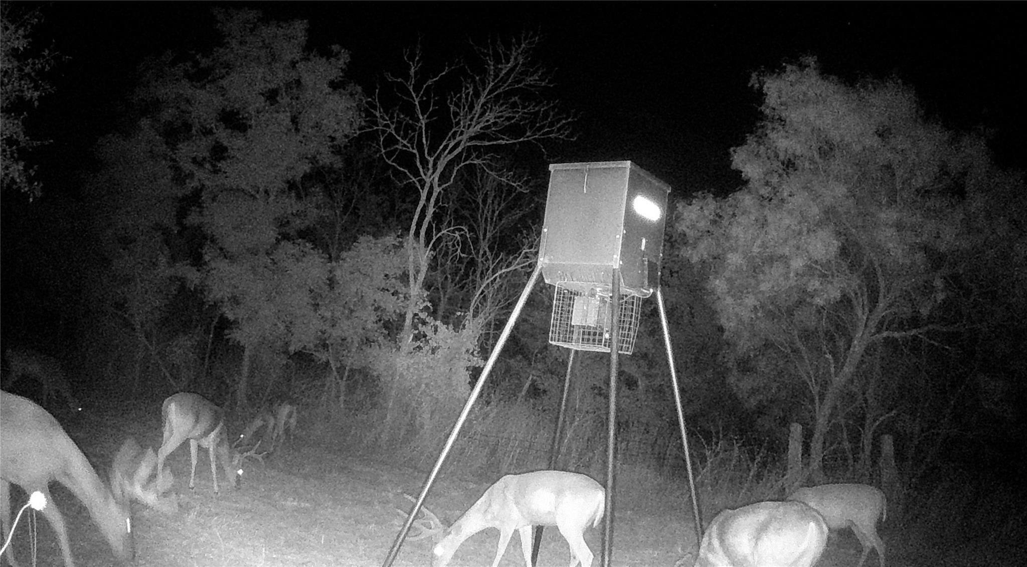 21255 FM 580, Bend, TX 76824 photo 5