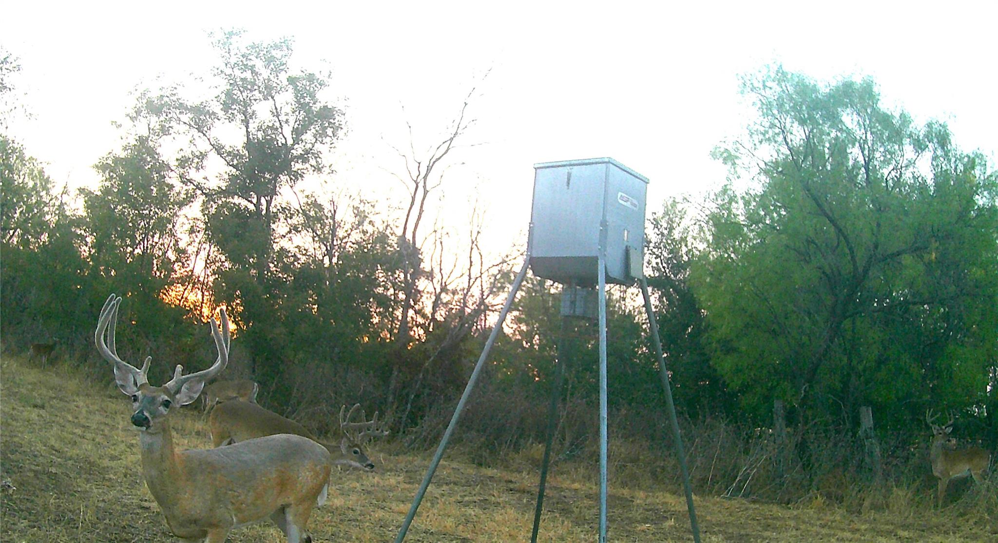 21255 FM 580, Bend, TX 76824 photo 4