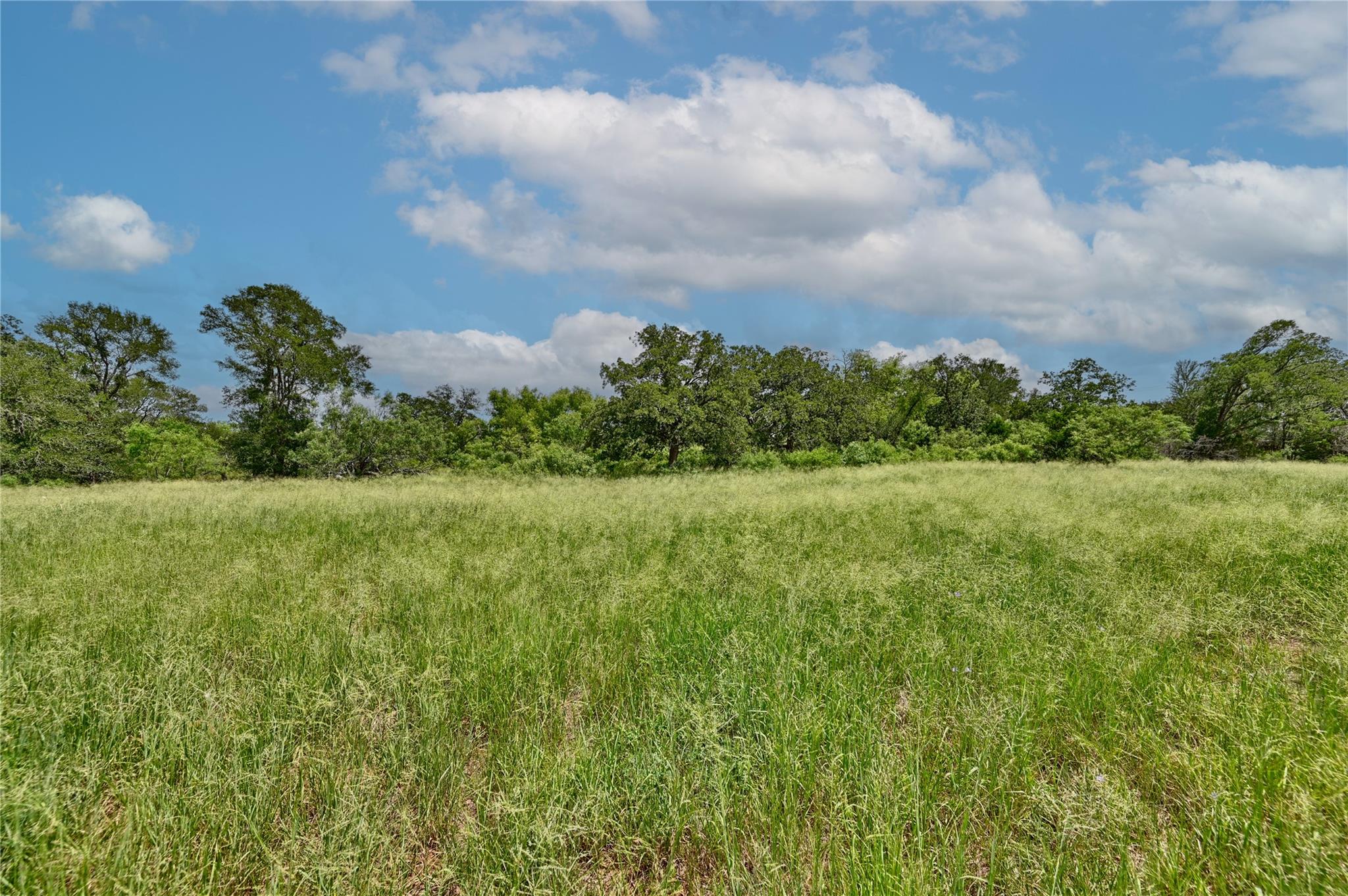 166 Sunny Day Dr, Red Rock, TX 78662 photo 3