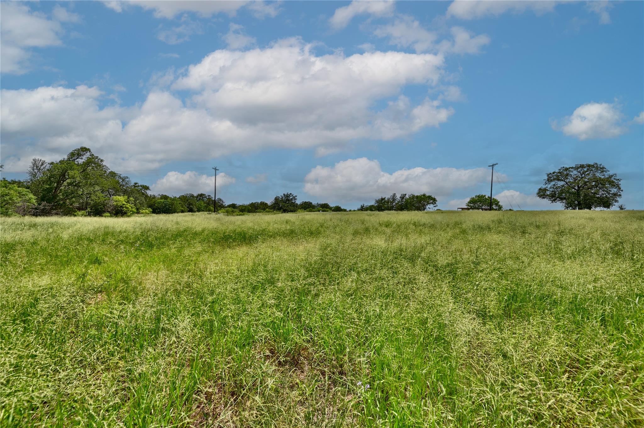166 Sunny Day Dr, Red Rock, TX 78662 photo 5