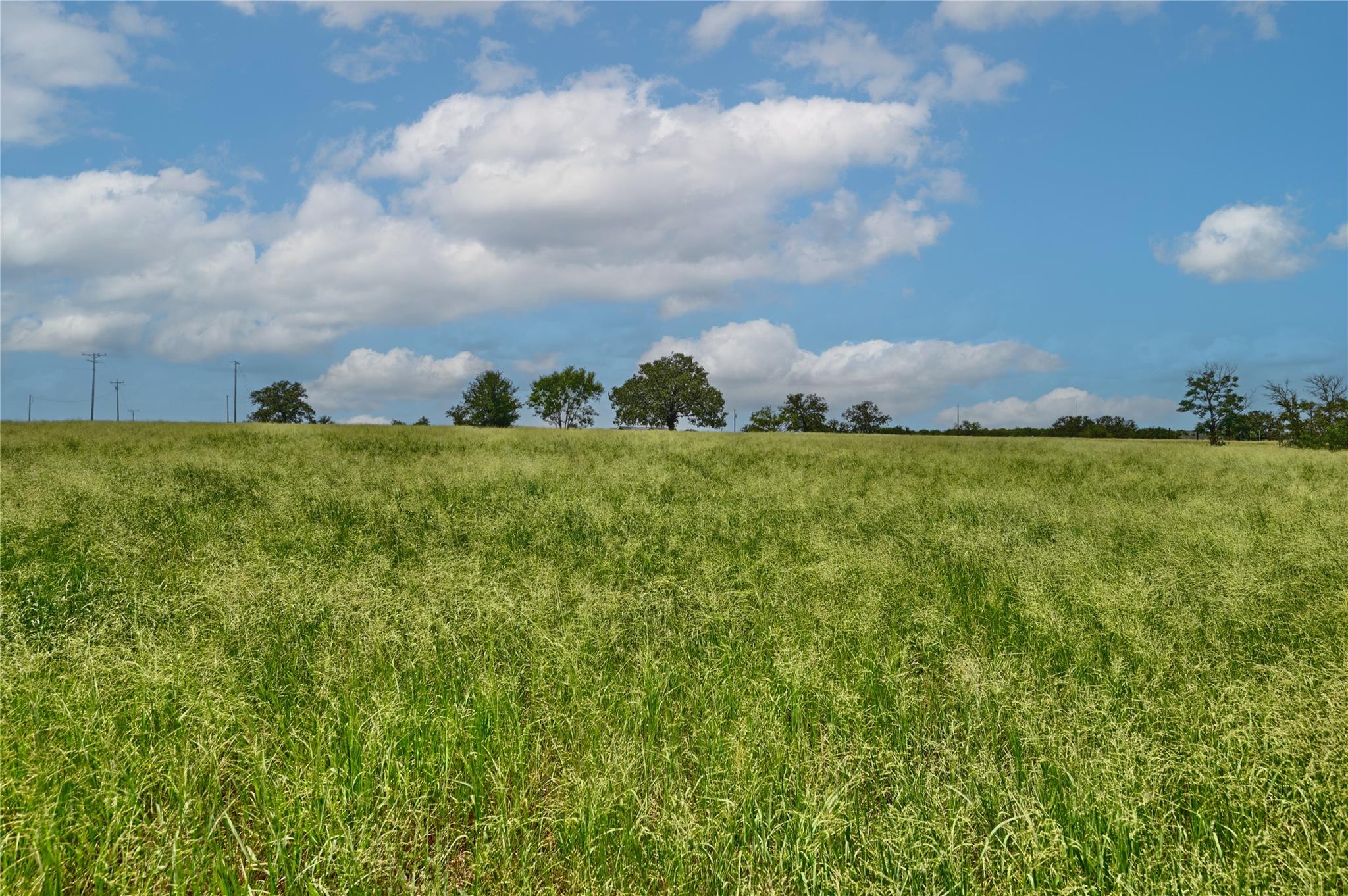 166 Sunny Day Dr, Red Rock, TX 78662 photo 4