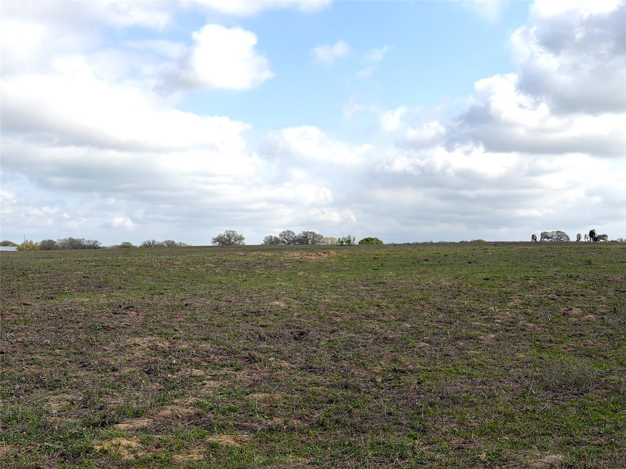 000 Old Kelley RD, Lockhart, TX 78644 photo 4