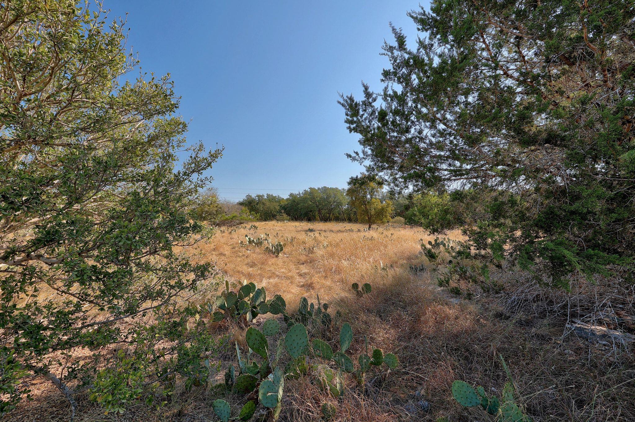 123 Appaloosa CV, Jarrell, TX 76537 photo 5