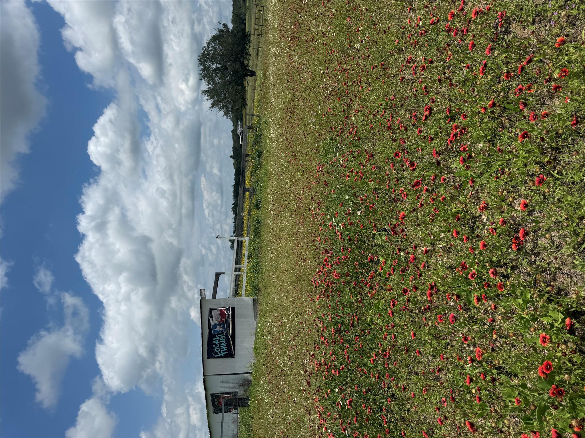 2135 Mule Creek RD, Harwood, TX 78632 photo 3