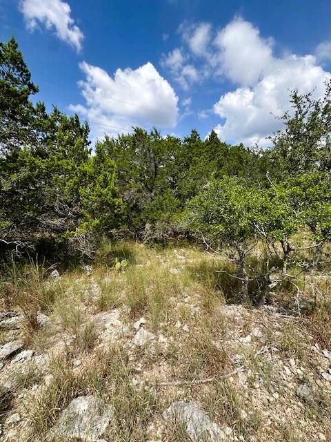 TBD LOT 2 Soaring Eagle DR, Fischer, TX 78623 photo 3