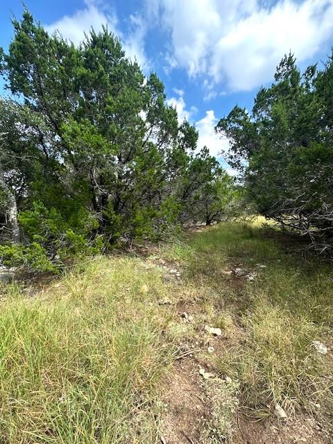 TBD LOT 4 Royal Eagle DR, Fischer, TX 78623 photo 2