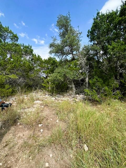 TBD LOT 4 Royal Eagle DR, Fischer, TX 78623 photo 3