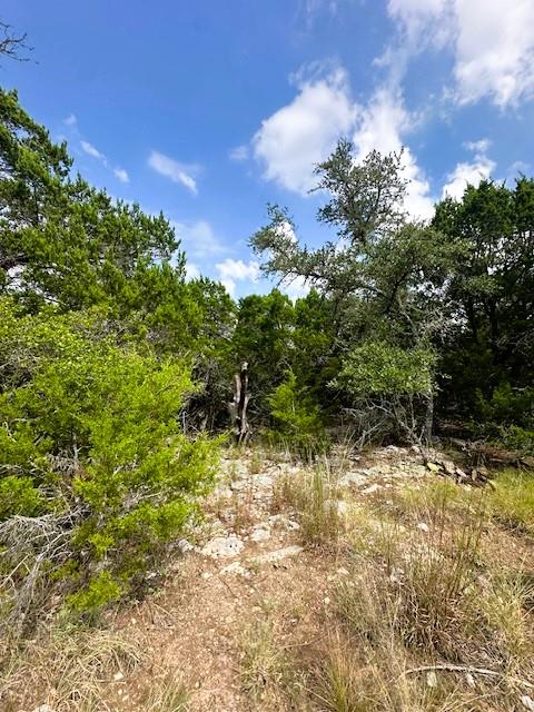 TBD LOT 4 Royal Eagle DR, Fischer, TX 78623 photo 5
