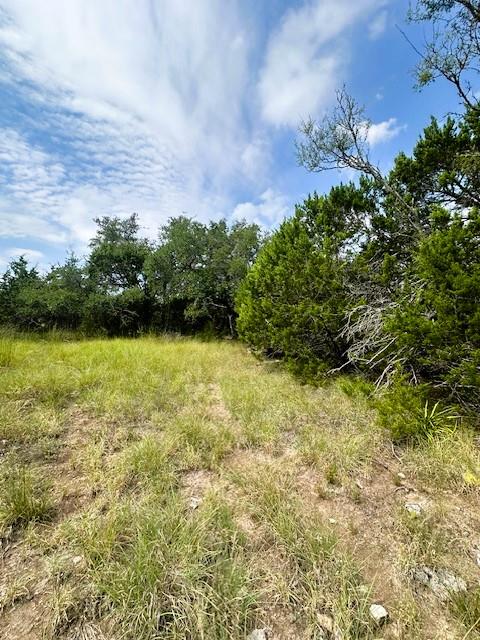TBD LOT 4 Royal Eagle DR, Fischer, TX 78623 photo 4