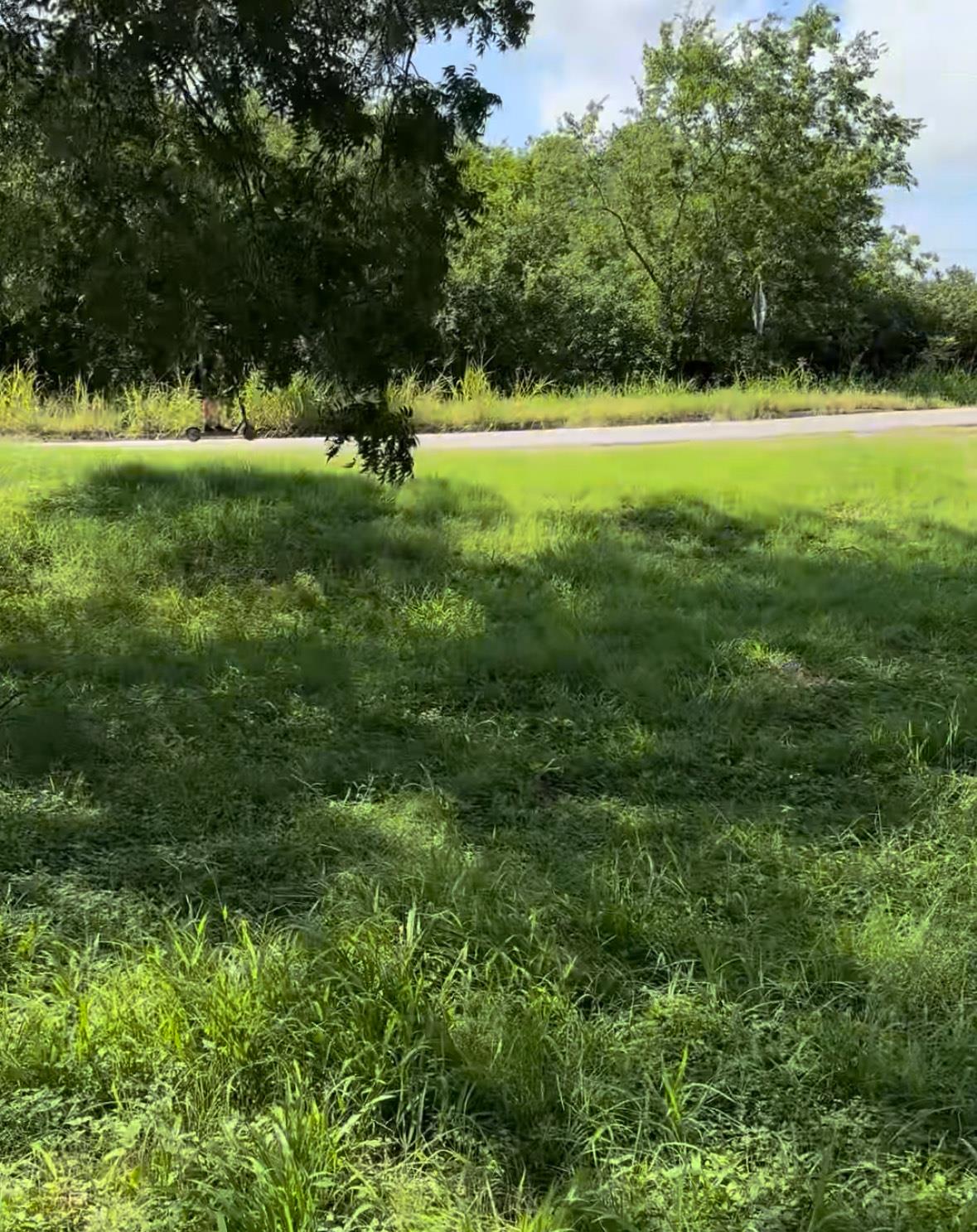 10002 Highway Fm 969 RD, Austin, TX 78724 photo 3
