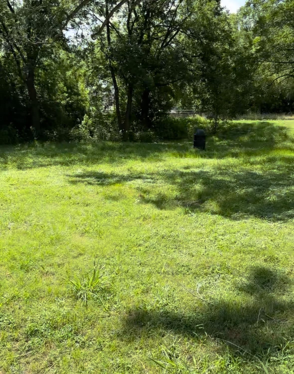 10002 Highway Fm 969 RD, Austin, TX 78724 photo 5
