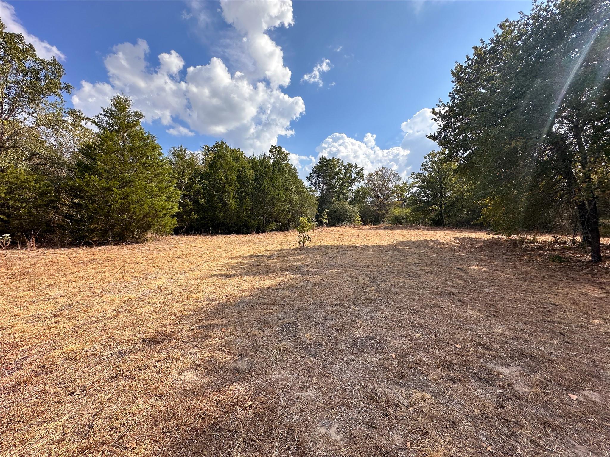 TBD Walter Hoffman RD, Bastrop, TX 78602 photo 2