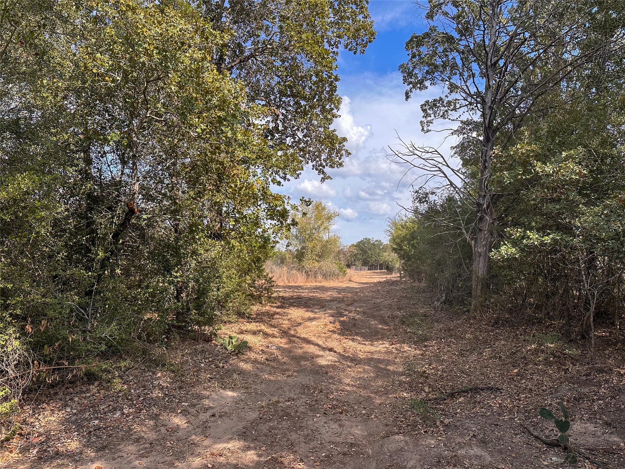 TBD Walter Hoffman RD, Bastrop, TX 78602 photo 4