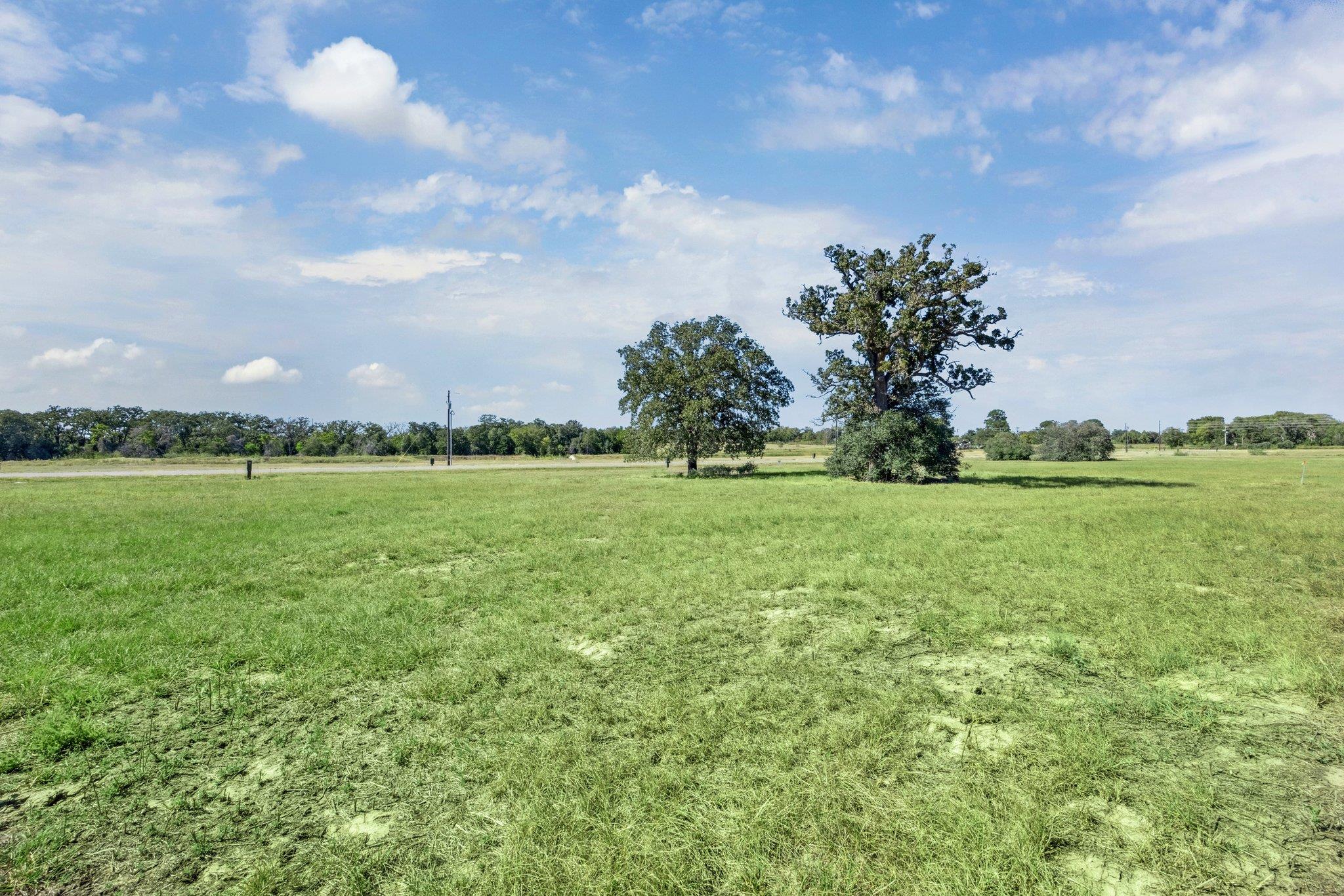 105 Nyala LN, Rosanky, TX 78616 photo 3