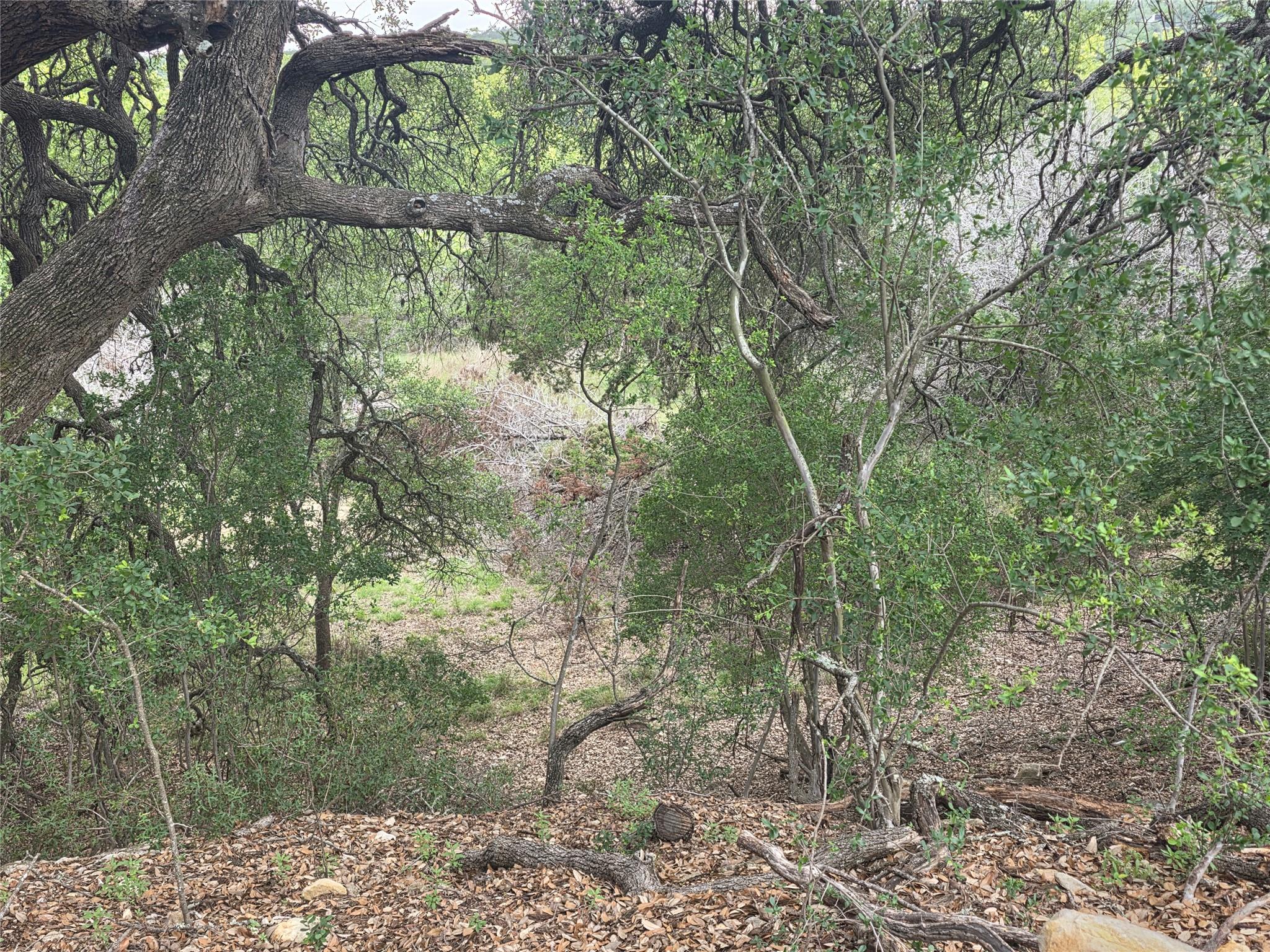 TBD Sycamore Creek DR, Dripping Springs, TX 78620 photo 3