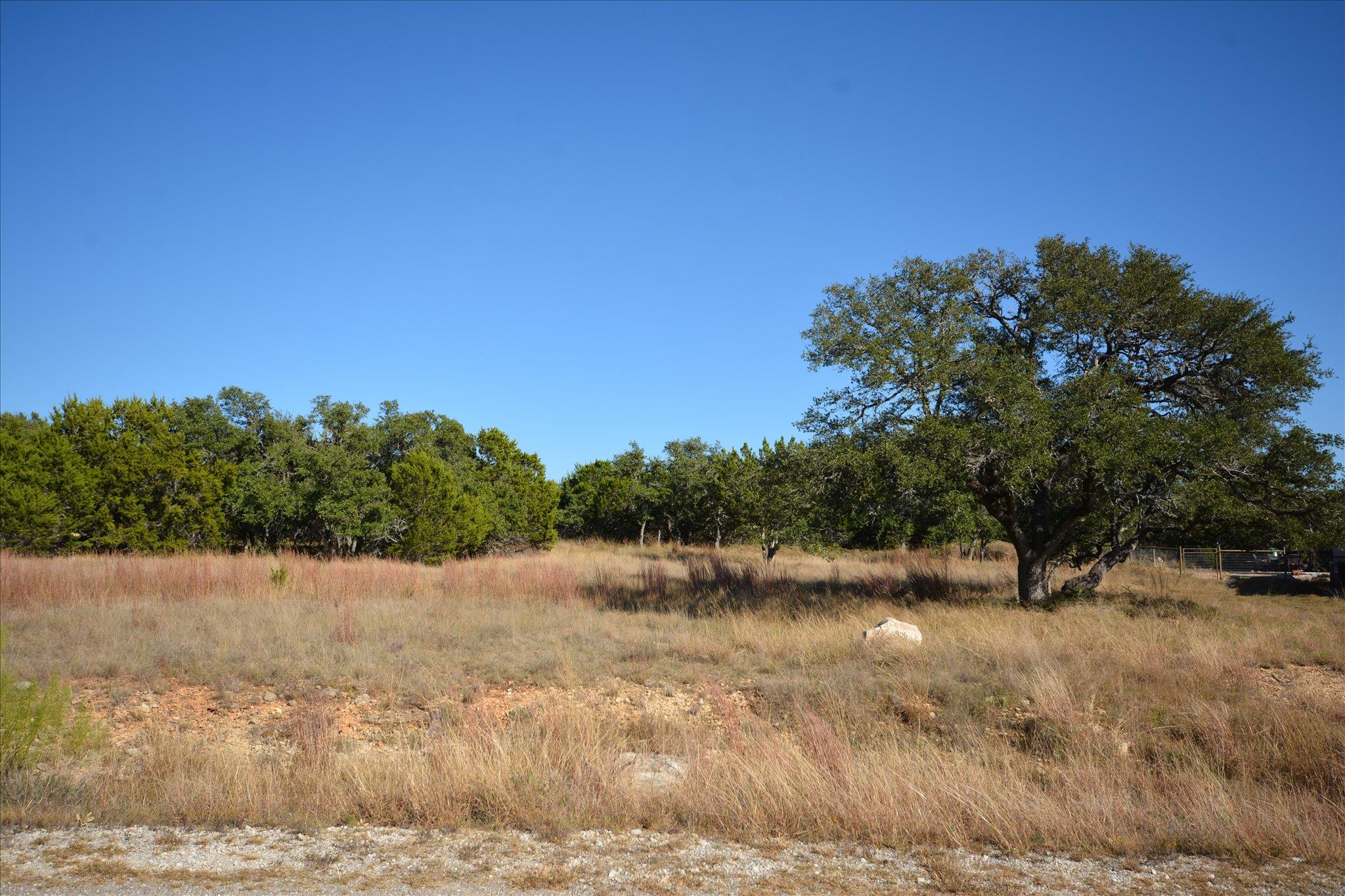 121 JESSE STIFF DR, Blanco, TX 78606 photo 2