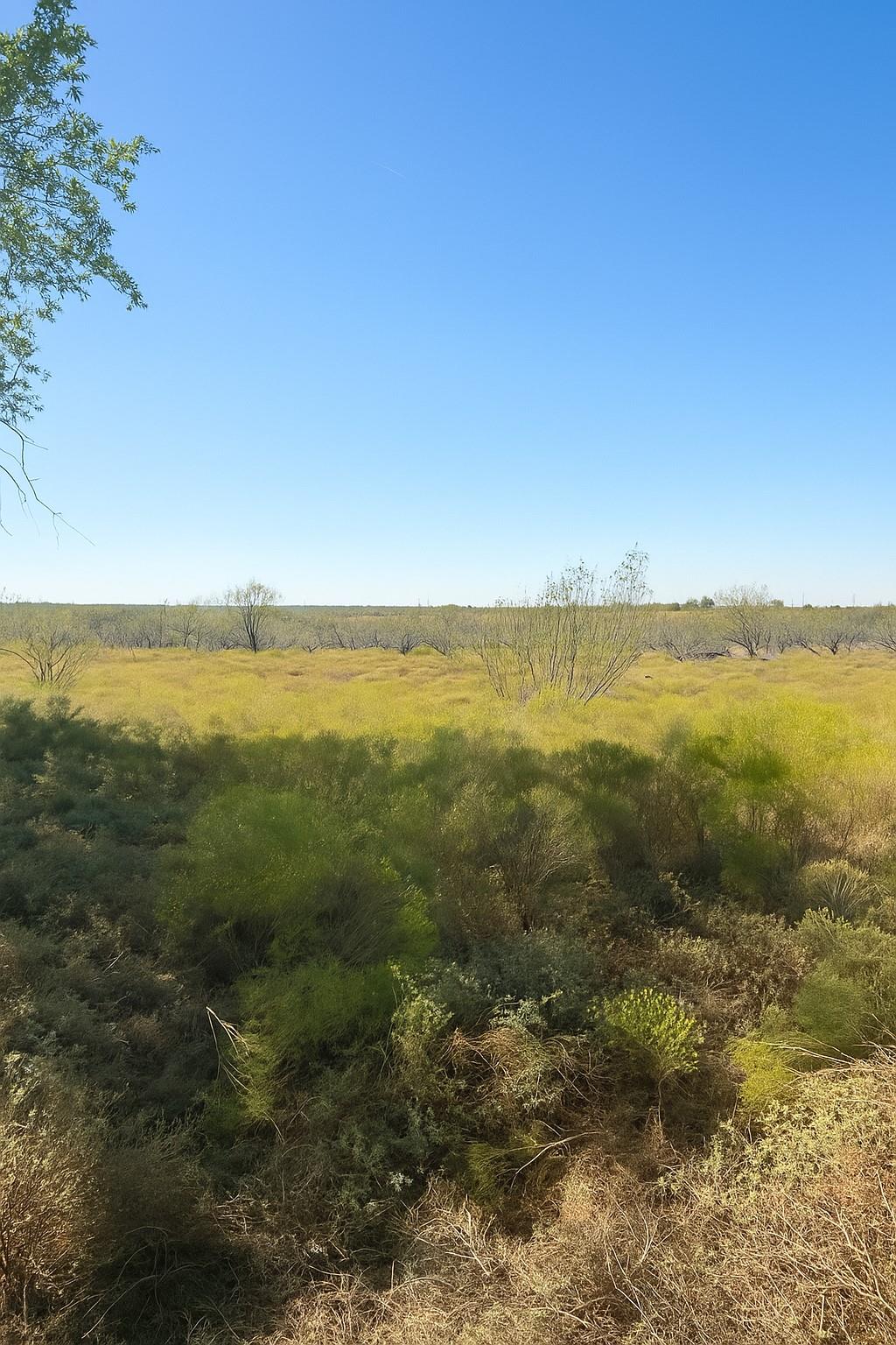 TBD County Road 112, Buckholts, TX 76518 photo 3