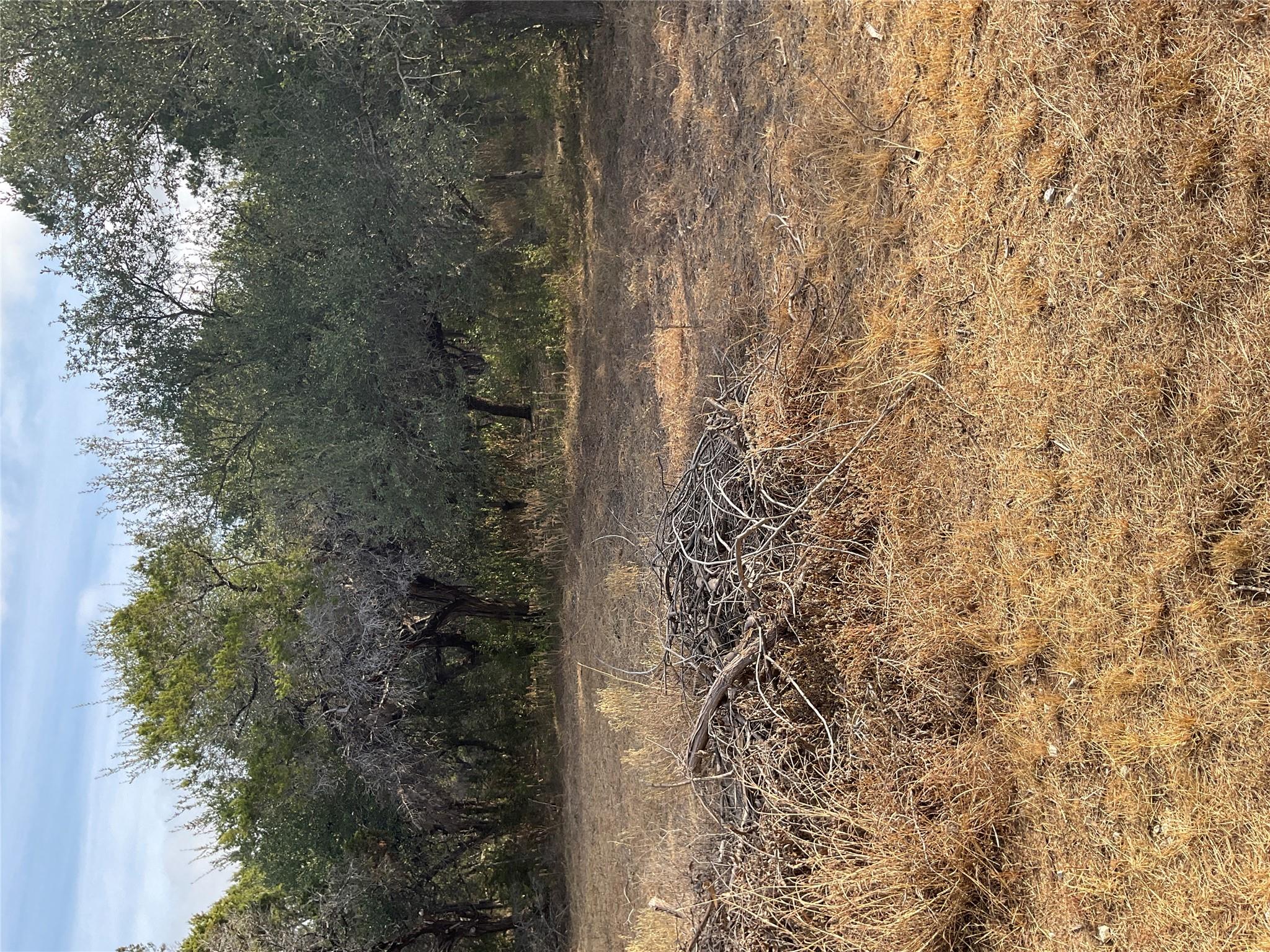 17308 1st ST, Leander, TX 78641 photo 4