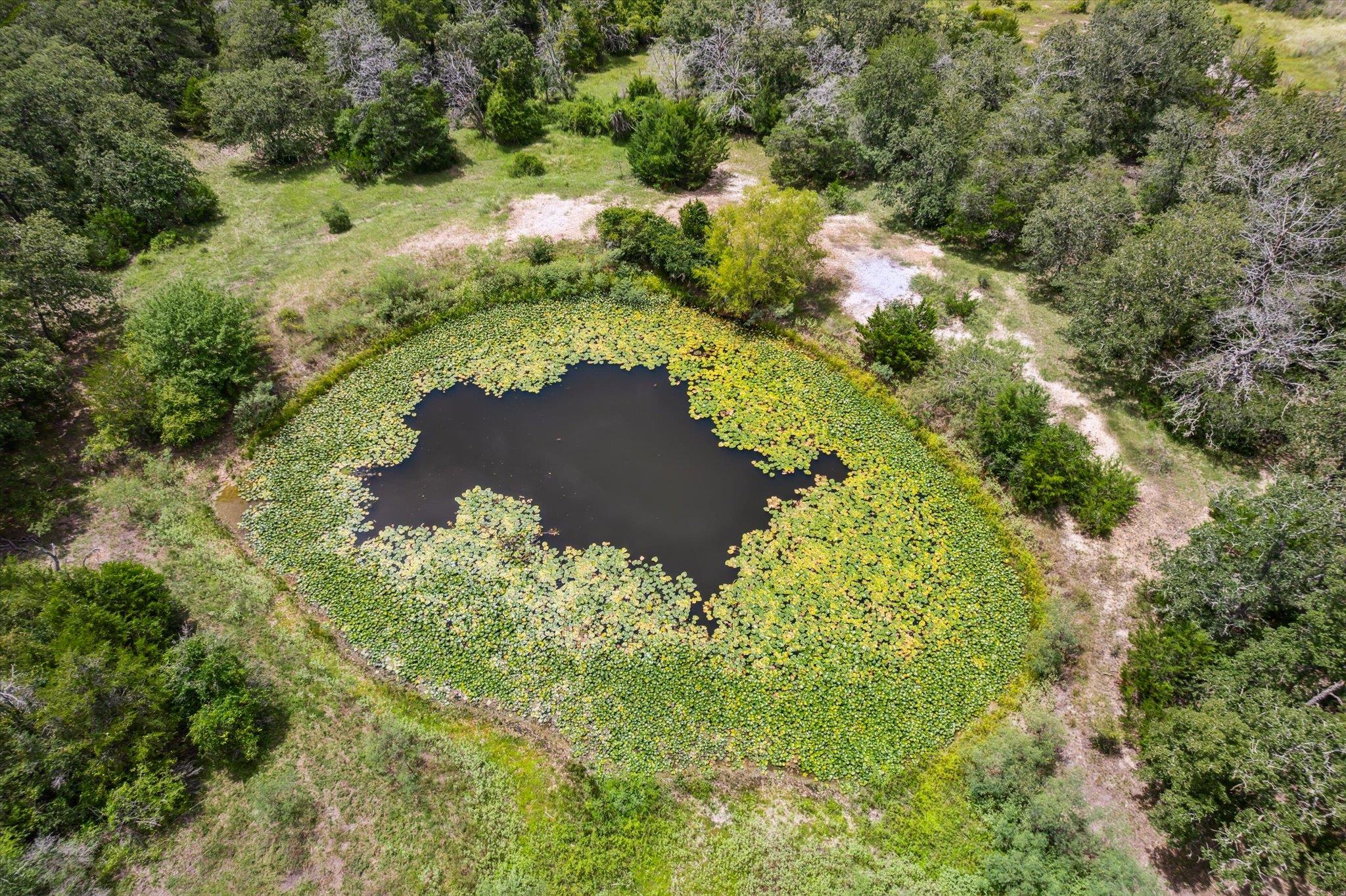 1434 County Road 139, Giddings, TX 78942 photo 3