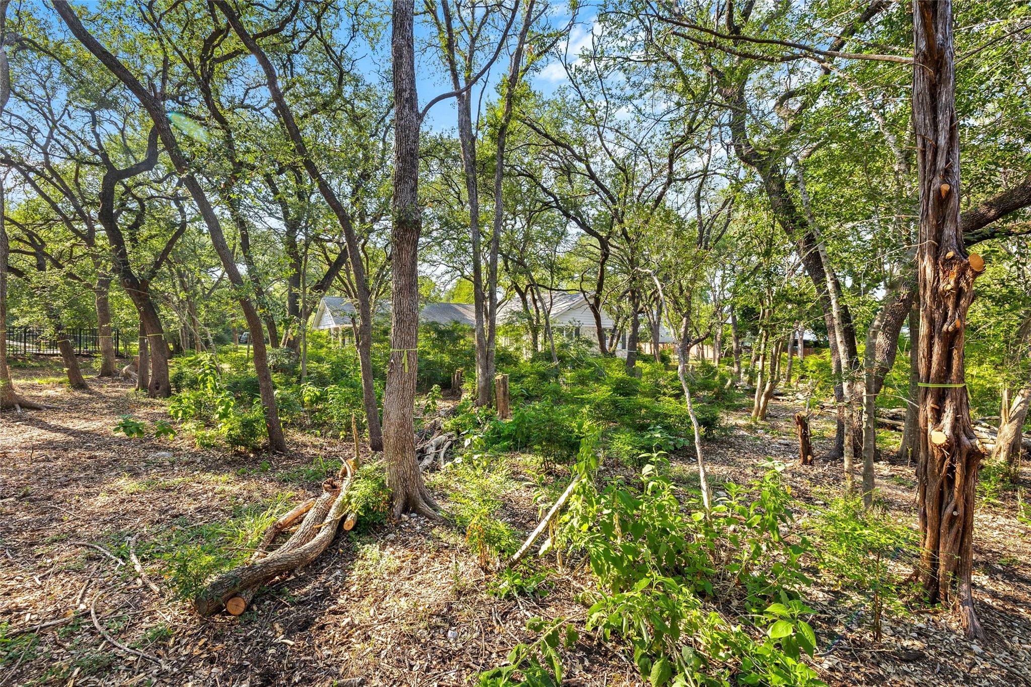 4101 Spicewood Springs RD, Austin, TX 78759 photo 5