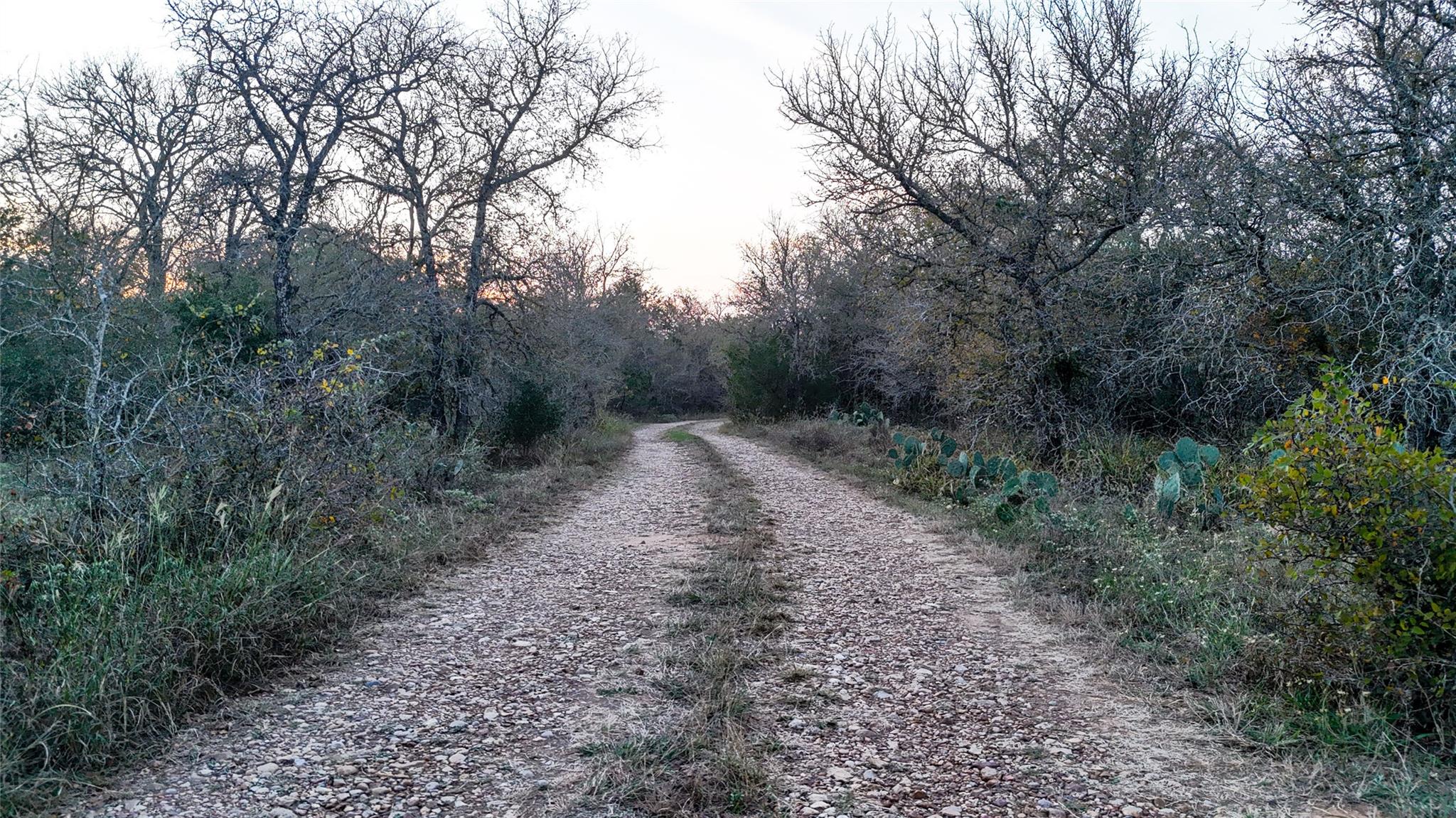 Litton, Addison
