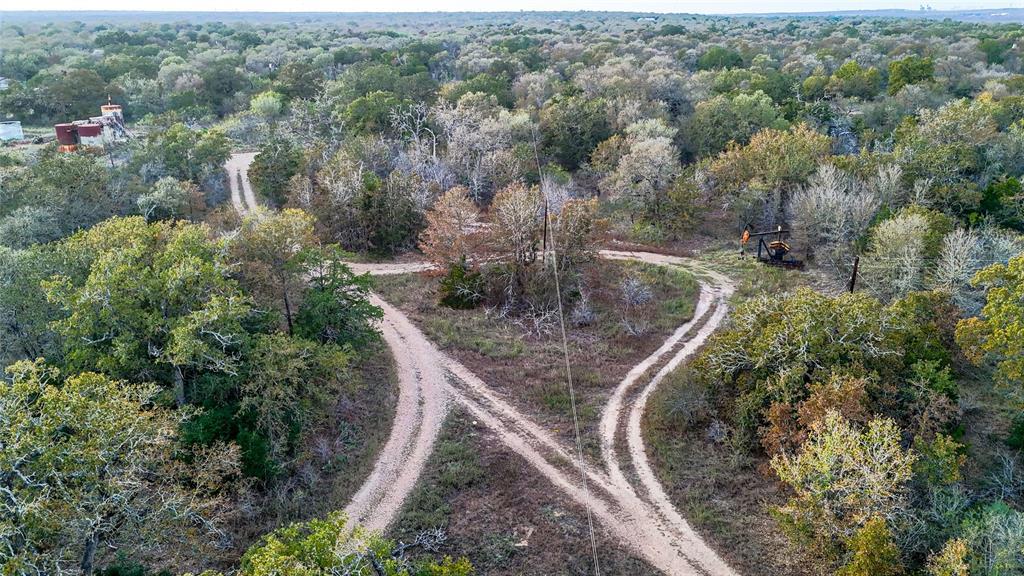 137 Shady Oaks LOOP, Cedar Creek, TX 78612 photo 2