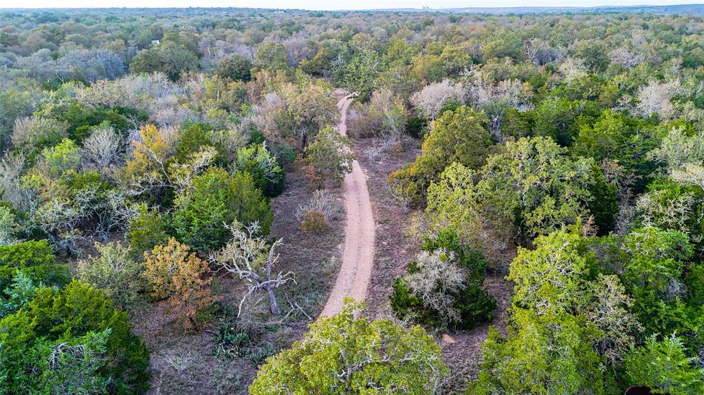 137 Shady Oaks LOOP, Cedar Creek, TX 78612 photo 4