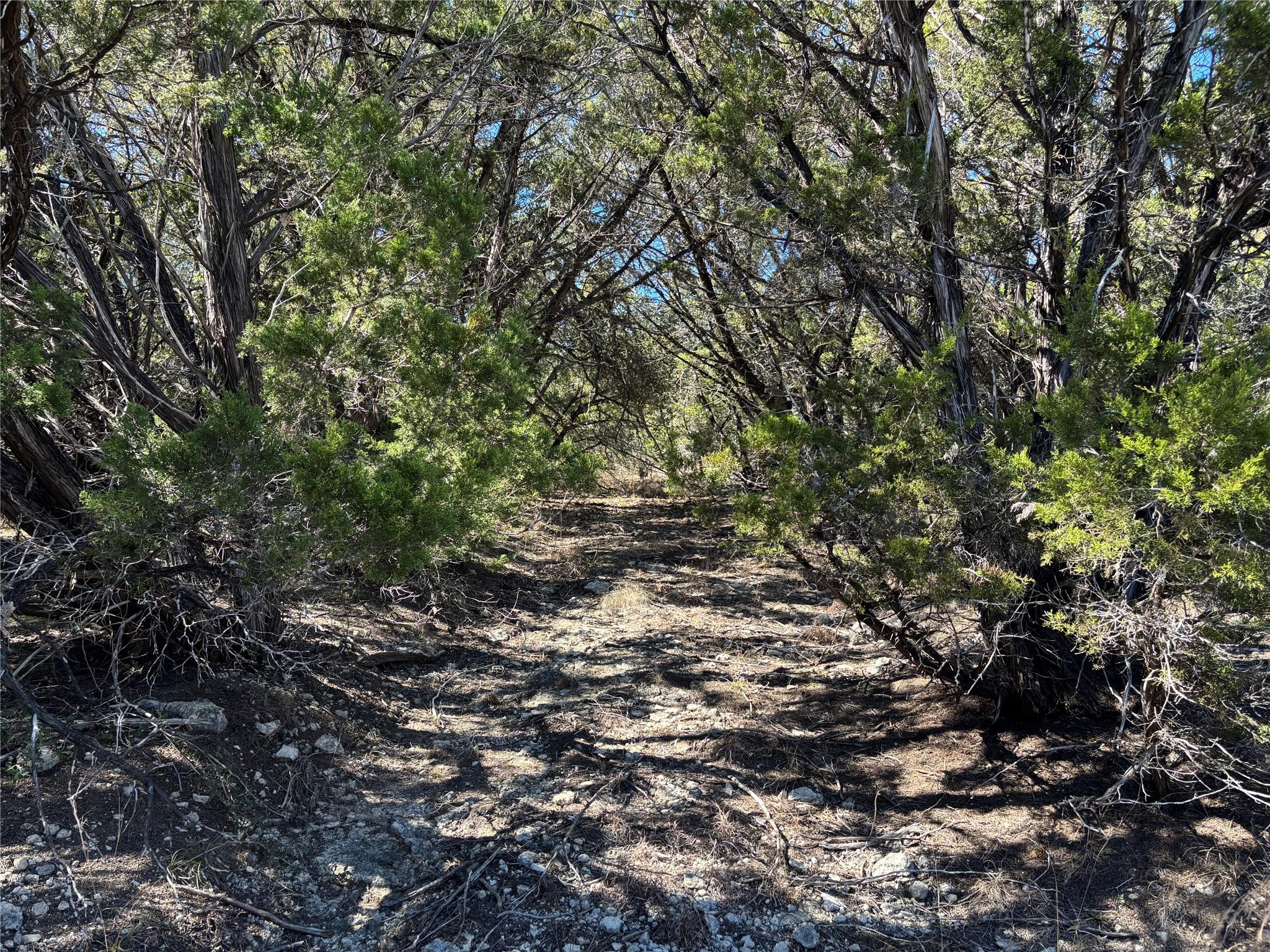 0 Fawn River DR, Spring Branch, TX 78070 photo 3